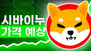 시바 이누 토큰 소각?! 코인 가격은?!