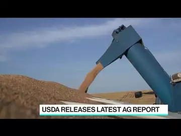Soybean Prices Surge on Supply Squeeze