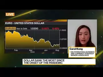 Commonwealth Bank of Australia Is 'Pretty Bearish' on Euro-Dollar