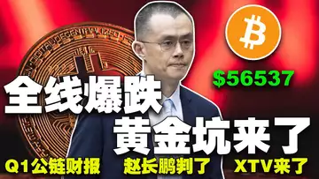 跌破6万抄底吗?赵长鹏判了;公链财报大比拼;2024 Q1 公链财报;马斯克要出X TV 20240501