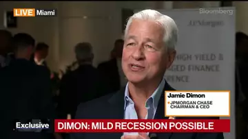 Jamie Dimon:  mild recession is possible.