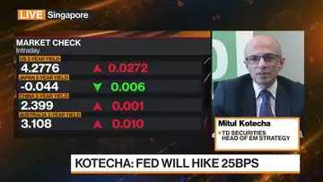 Still Seeing Potential for More Fed Hikes to Come: Kotecha