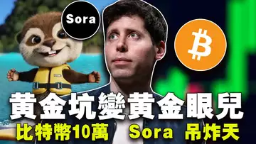 比特币10万美元一枚?95%以上BTC盈利;交易所放大招;Sora 助力 AI 币;胖企鹅干掉无聊猿 20240219