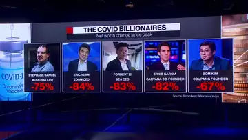 Extraordinary Rise and Fall of the Covid Billionaires