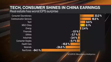 Tech, Consumer Stand Out in China Earnings Season