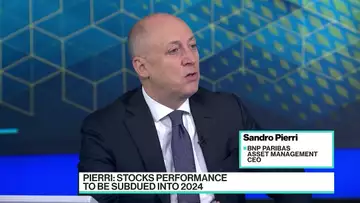 BNP's Pierri: Stocks Performance to Be Subdued in 2024
