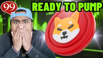 SHIBA INU HOLDER ALERT!!! MASSIVE PUMP INCOMING!!! Shiba Inu Price Prediction