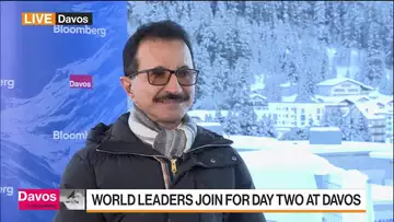 Red Sea Disruptions Won't Be 'Long Term': DP World CEO