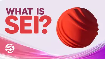 What is SEI? SEI Giga Explained with Animations