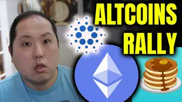 ALTCOINS RALLY WHILE BITCOIN SLEEPS