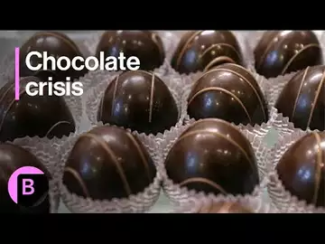 Cocoa Crisis - Why Chocolate Prices Are Set To Soar: Africa Amplified