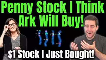 Ultra Growth Penny Stock I Bought! Rumor Is Ark Invest May Buy BNGO!