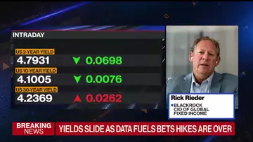 BlackRock’s Rieder: ‘Put Your Shoulder’ Into Fixed Income