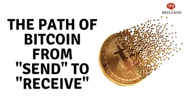 The Path of a Single Bitcoin