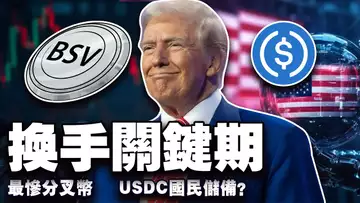 比特币牛市交棒时刻；“大而美”救市还是毁市？川普比特币国储梦遭背刺；BSV 成最惨分叉币？ USDC 冲刺银行牌照 20250702
