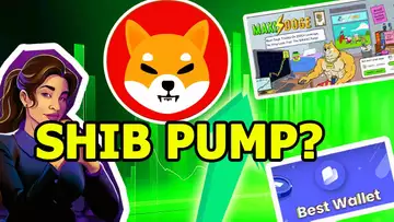 SHIBA INU ĐANG PUMP TRỞ LẠI THEO DIỄN BIẾN THỊ TRƯỜNG | ĐIỀU GÌ TIẾP THEO?
