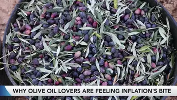Javier Blas on Europe's Energy Outlook and Olive Oil