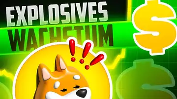 Der Bonk Token explodiert! 💣 Was kann man noch von dem Meme Coin erwarten?