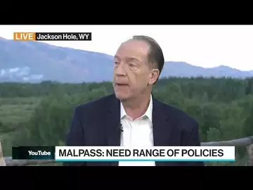 World Bank's Malpass 'Worried' About Stagflation Persistence