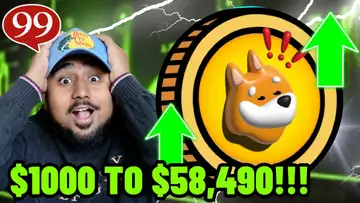 Bonk investor turns $1000 to $58,490! Should you buy Bonk?!