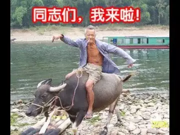 会员专属周评:牛回!速归!重要的事情说三次:进场,进场,进场!四个灯号同时全部亮起,本周BTC,ETH,FIL操作点们建议!20220328