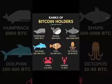 BTC持有你是什么级别？ #binance #fed #luna #sbf #usdc #stablecoin #usdt #voyager #3ac #ust