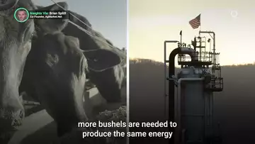 US Corn and Soybean Farmers Battle Drought Conditions