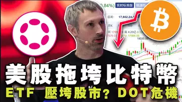 比特币 ETF 压垮股市?美股拖垮比特币?Polkadot 遭质疑;“薯条哥”变身比特币大亨;Worldcoin 破局 20240703