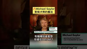 Michael Saylor对柴犬币的看法