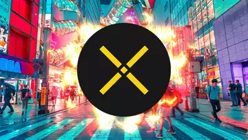 PUNDI X (NPXS) - HIDDEN GEM CRYPTO