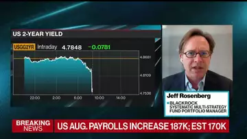 US Labor Market Is Normalizing, Says BlackRock’s Rosenberg