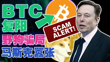 BTC囤币党扛大旗;野狗币新型骗局;币链何在“打卡”新加坡;微策略“干上”比特币;⻢斯克胜诉“气焰嚣张”