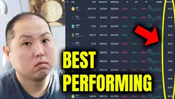 BEST PERFORMING ALTCOINS DURING THE MARKET SLUMP