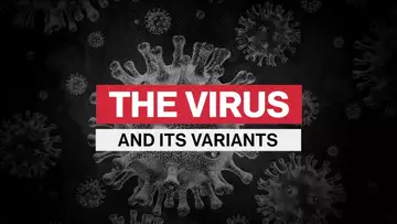 Pfizer Vaccine Provides Less Immunity to Omicron Variant