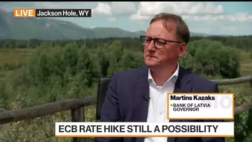 ECB's Kazaks: Any Rate Hikes Would Be 'Relatively Small'