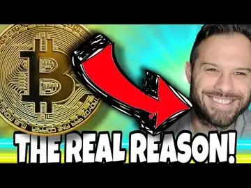 The Real Reason Bitcoin And Top Meme Coins Are Falling Right Now... THE GAINS WILL RETURN!