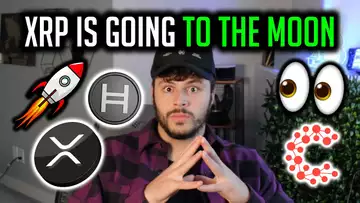 XRP Will Go To The Moon 🚨 Huge HBAR Connections & Important Crypto News Today!