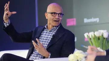 Most Regulation Benefits Big Companies, Says Law Professor