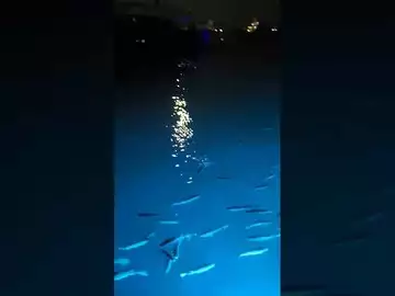 塞浦路斯海港之夜