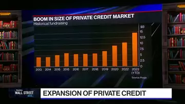 Puri: Private Credit is Pretty Compelling