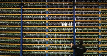 Nvidia's crypto mining chip sales now 'nominal' after months of decline
