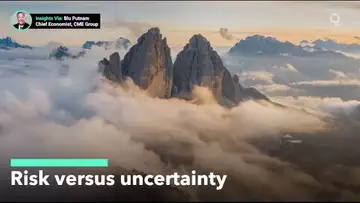 The Difference Between Risk and Uncertainty