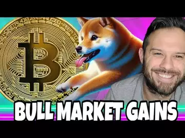 Bitcoin Gearing Up For A Bull Market With Tokens Like Dogeverse Potentially Gaining The Most!