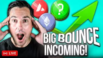 These ALTCOINS Will BOUNCE The MOST! (PREPARE FOR PROFIT)