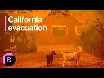 Wildfire in California Forces Evacuation, Newsom Declares Emergency