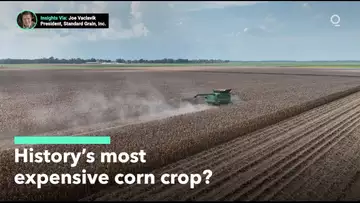 The Most Expensive Corn Crop in History?