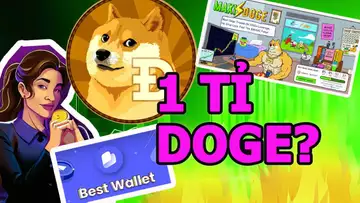 CÁ MẬP MUA VÀO 1 TỈ DOGE CÓ PHẢI LÀ TÍN HIỆU ĐÁNG MỪNG?