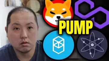 WHY THESE ALTCOINS ARE PUMPING
