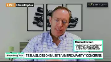 Musk Alienated Both Dems and GOP, Simplify's Green Says