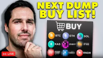 Buying These Altcoins On The Next Major Sell-Off Will Make Millions!